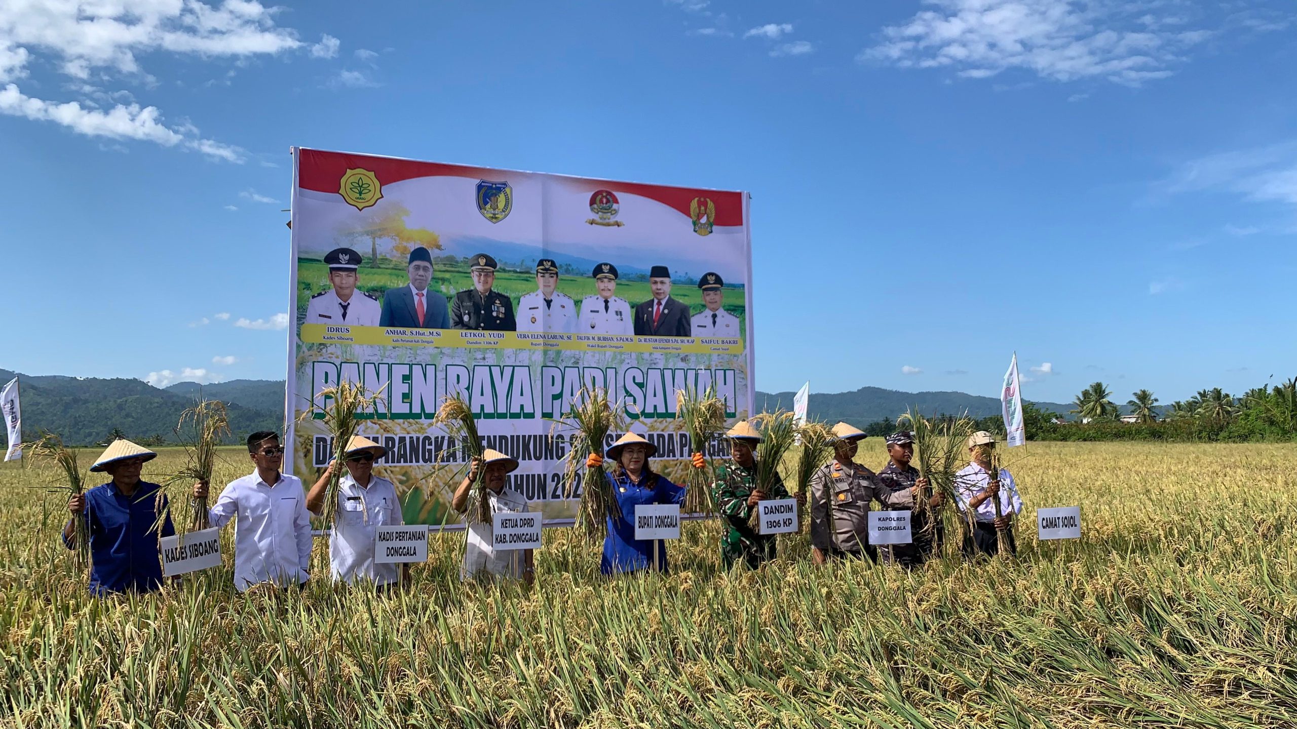 Panen Raya Padi di Siboang, Bupati Donggala Sebut Petani Kekuatan Ketahanan Pangan Daerah