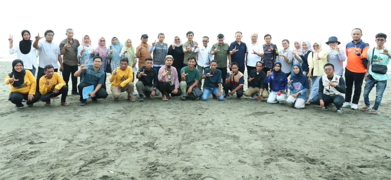 Peringati Hari Lingkungan Hidup, Pemkab Donggala Lepas 25 Tukik dan Perkuat Konservasi Pesisir