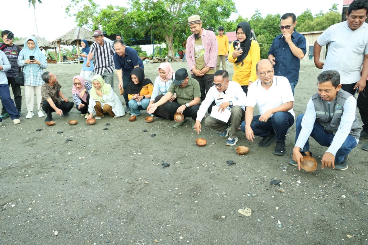 Bappeda Sulteng Sebut Pesisir Donggala Miliki Potensi Besar untuk Edukasi Konservasi Penyu