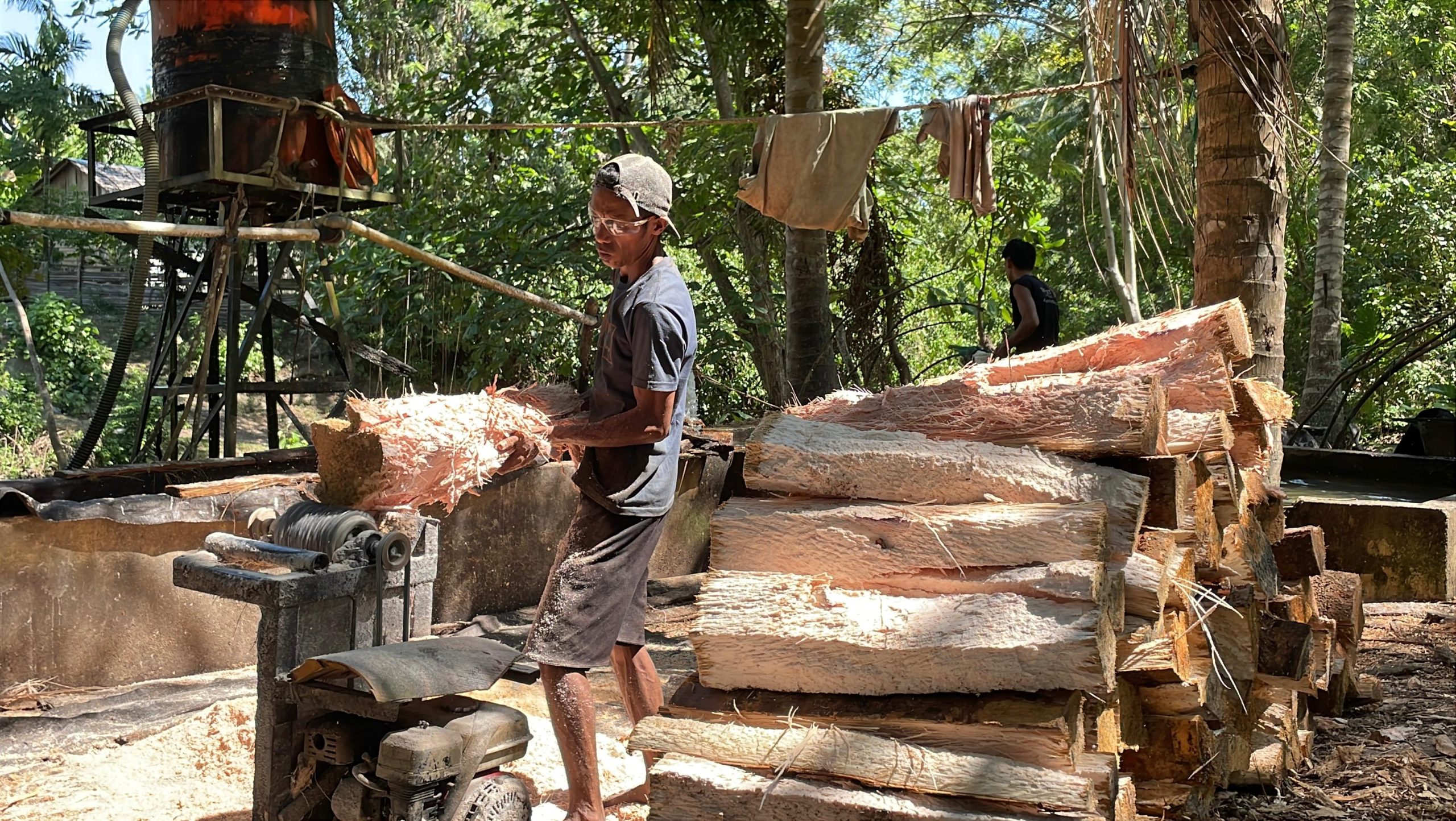 Geliat Ekonomi Kreatif di Donggala, Sagu Desa Mekar Baru Jadi Penopang Ketahanan Pangan Lokal