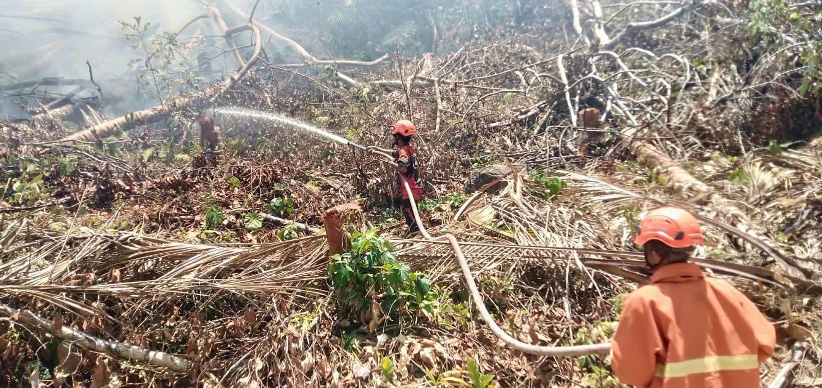 Bupati Donggala Imbau Warga Waspada Kebakaran di Puncak Musim Kemarau