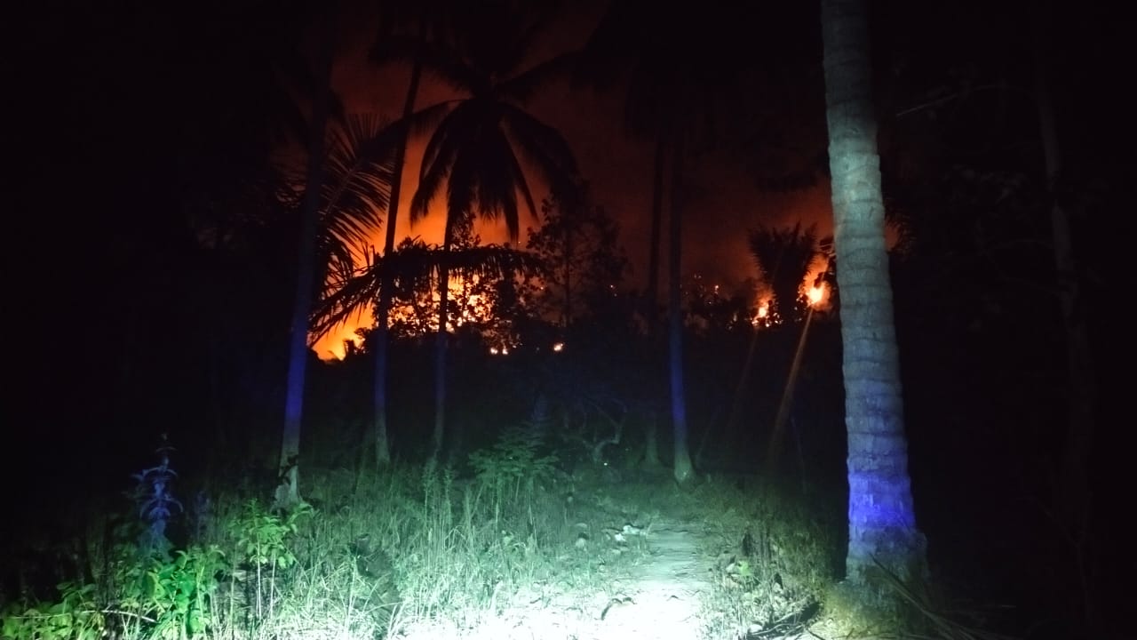 Karhutla di Siboang Donggala Belum Padam, 50 Hektare Lahan Terbakar